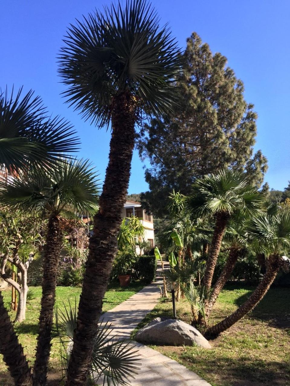 Hotel Eden Park 3*