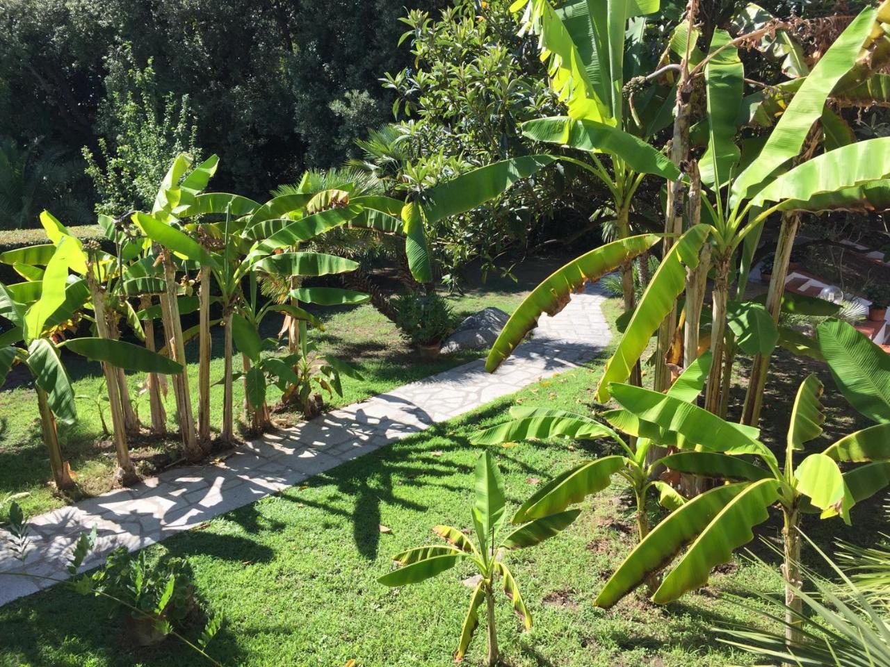 Eden Park Hotel 3*